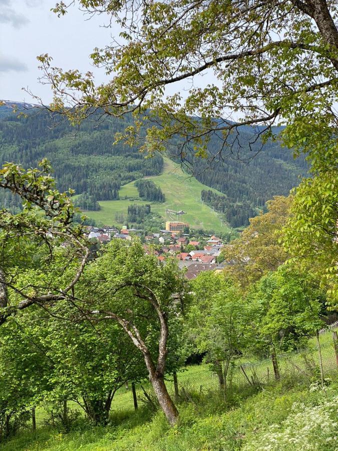 Apartamento Kreischblick Sankt Georgen ob Murau Exterior foto
